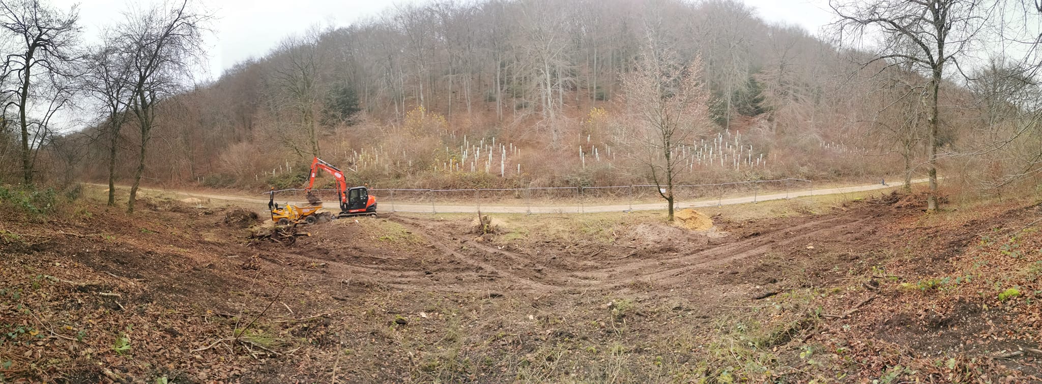 Queen Elizabeth Country Park starts work on a Skills Area