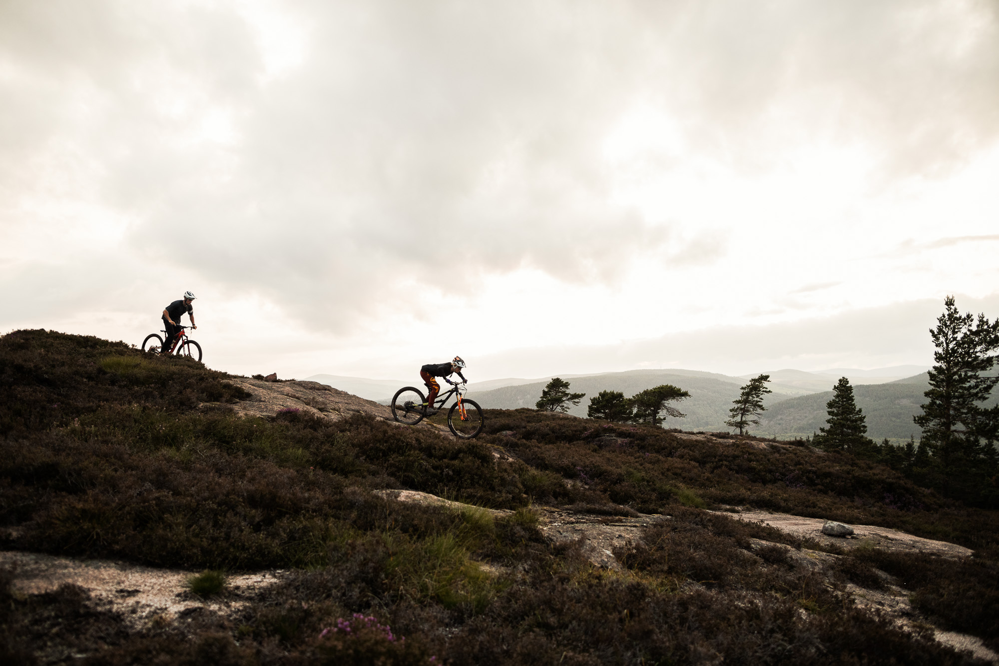 A Busy Week at DMBinS: Advisory Roles, First Tracks 26, and New Strategy Workshops