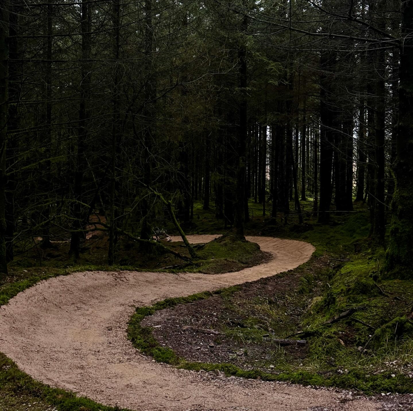 Adaptive access updates land on Gisburn Forest’s Blue trail