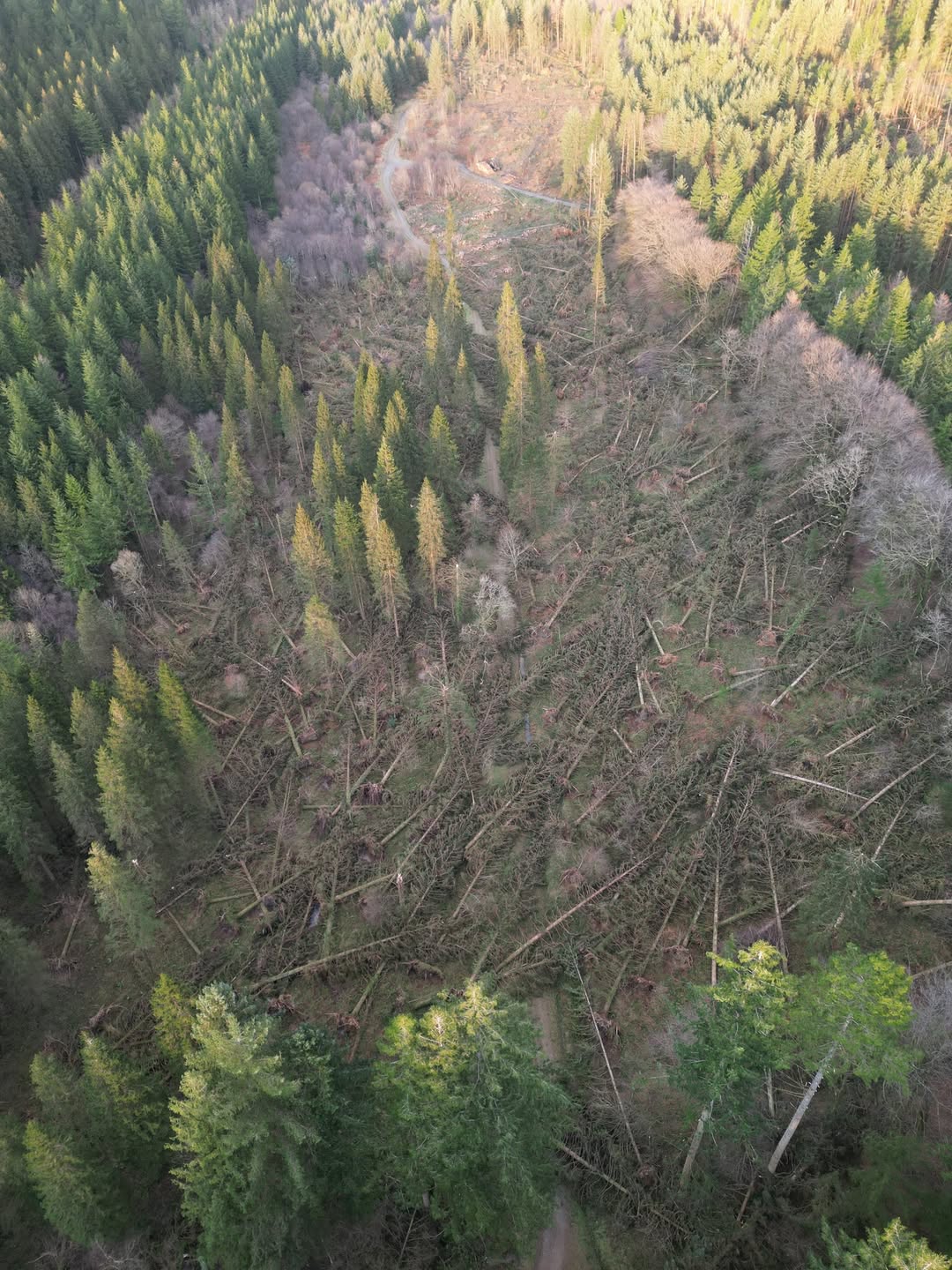 As Another Storm Battered the UK How Can We Help Repair and Protect Our Trails