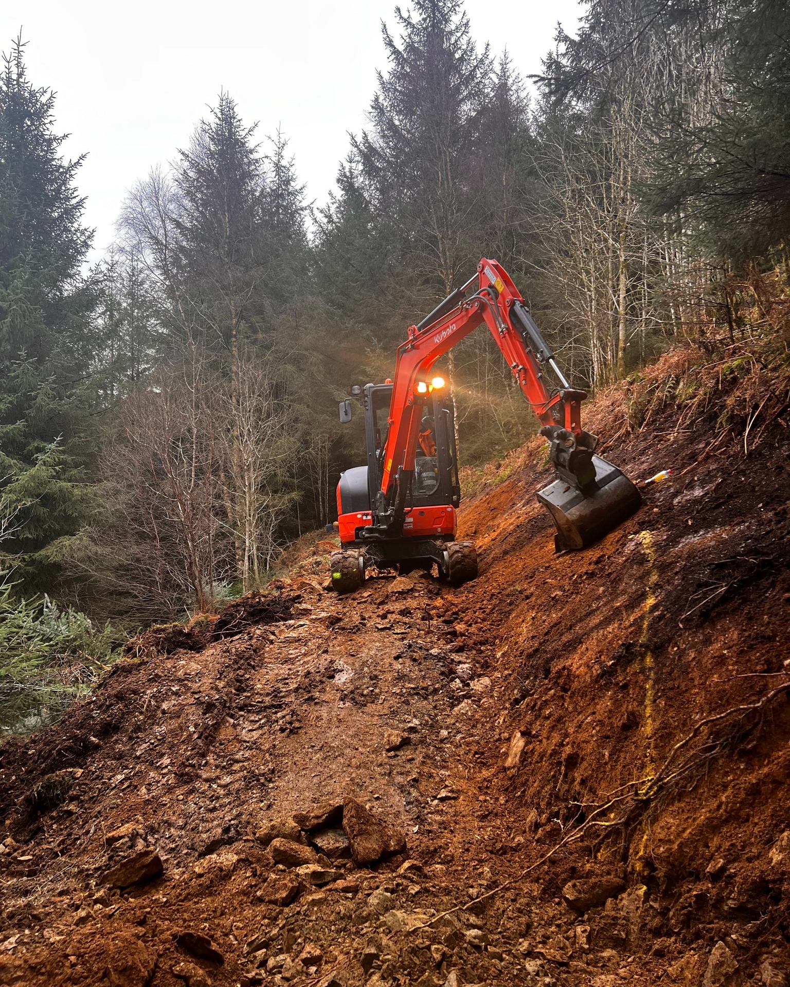 B-Line getting revamp at Coed Llandegla