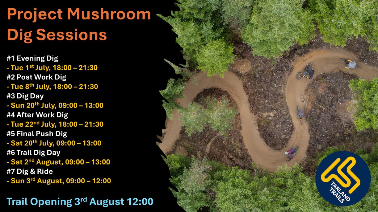 Be Part of the Build: Project Mushroom Trail Opens 3rd August at Tarland Trails