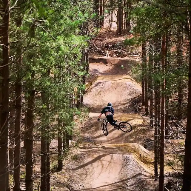 Bikini Line Trail at Swinley Closed Following Crown Estate Review