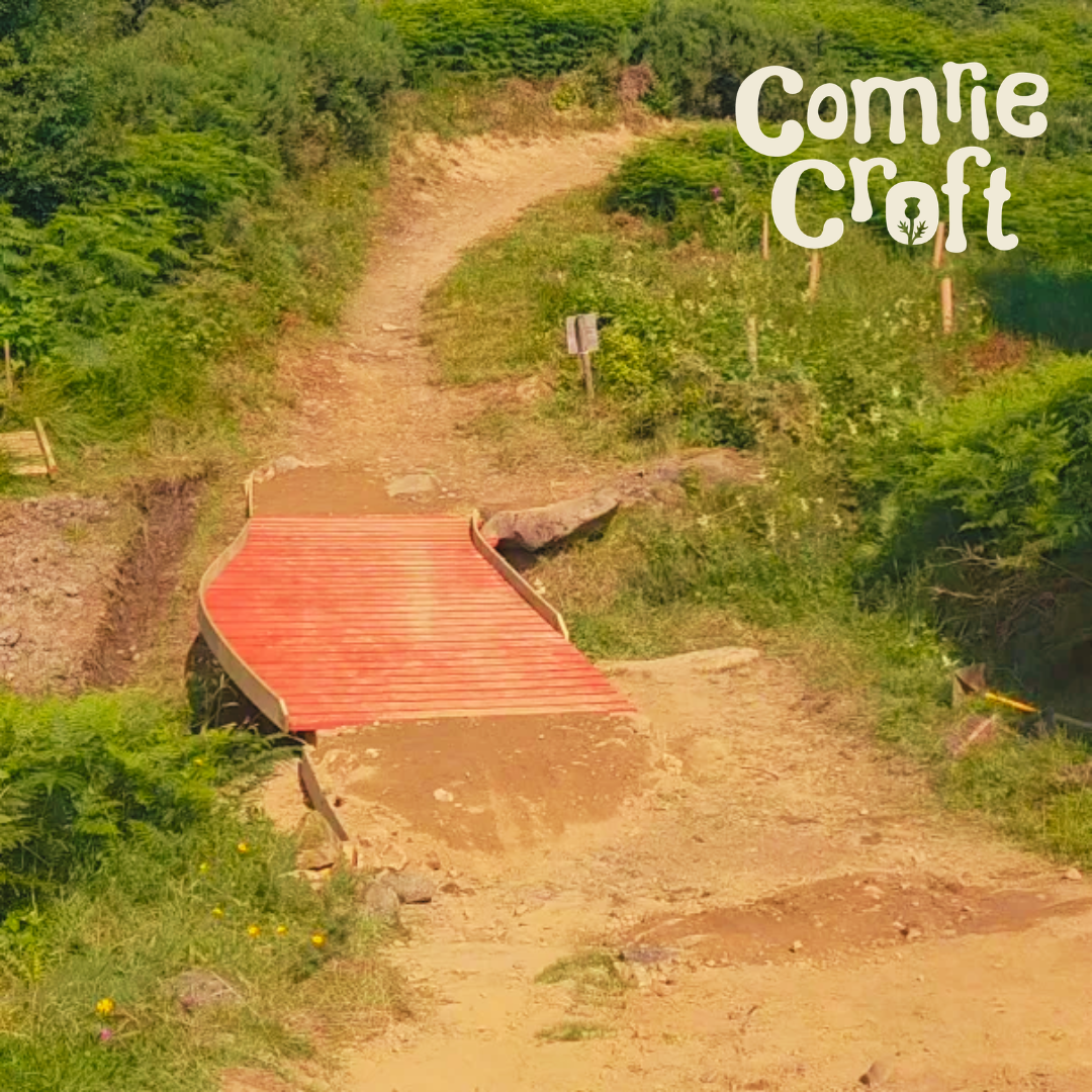 Blue 2 Reopens at Comrie Croft Following Trail Works