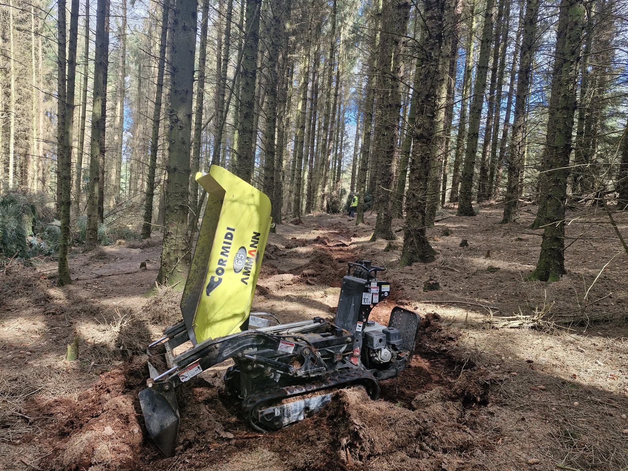 Blue Trail Section 3 at Dalby Forest Reopens After Storm Darragh Repairs