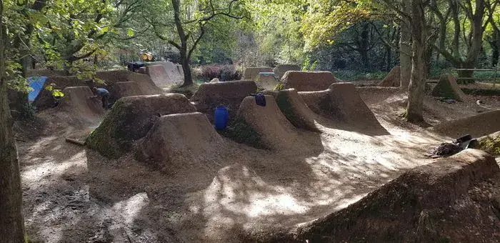 Burgh Heath Jumps flattened