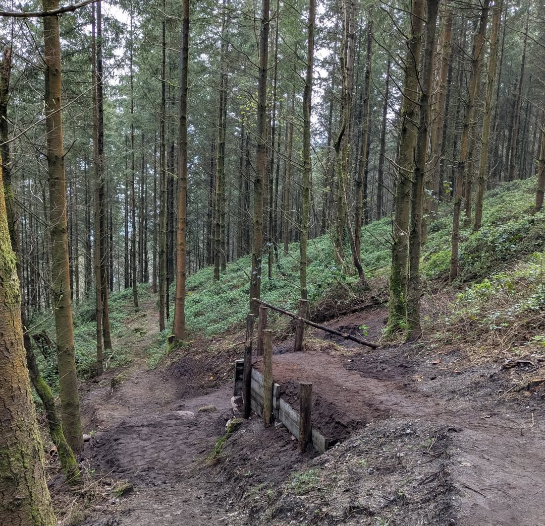 Cafeside MTB Spring-Summer 2025 Update: Lease Drafted, Planning Support Grows, and Trail Work Continues