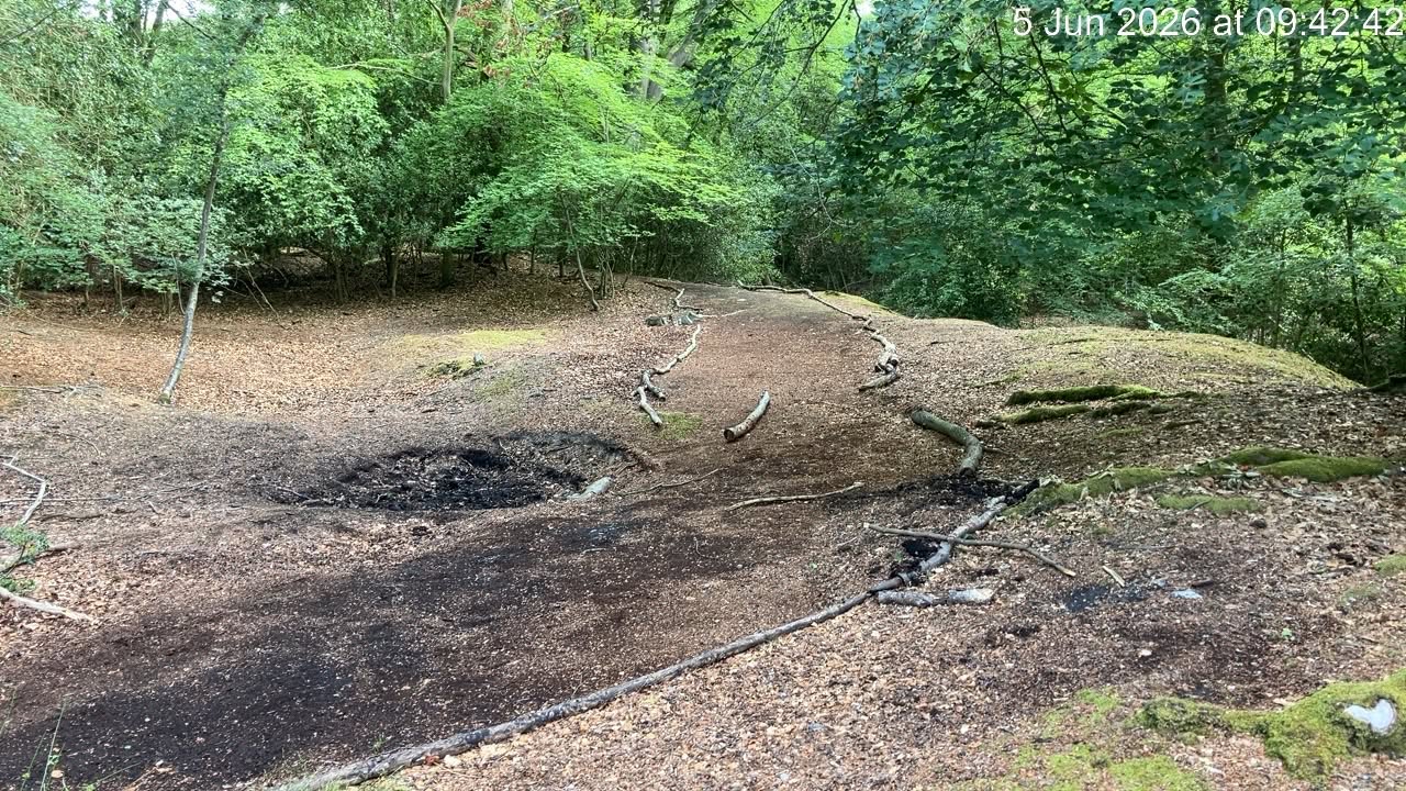 City of London Corporation warns over hillfort digging in Epping Forest