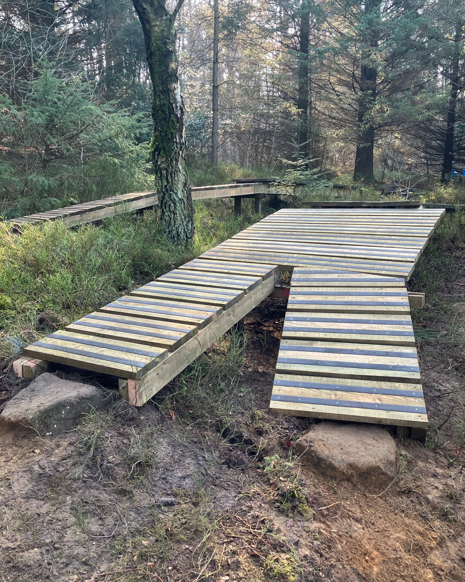 Dalby Forest refreshes north shore ramps on its UCI World Cup Black Route