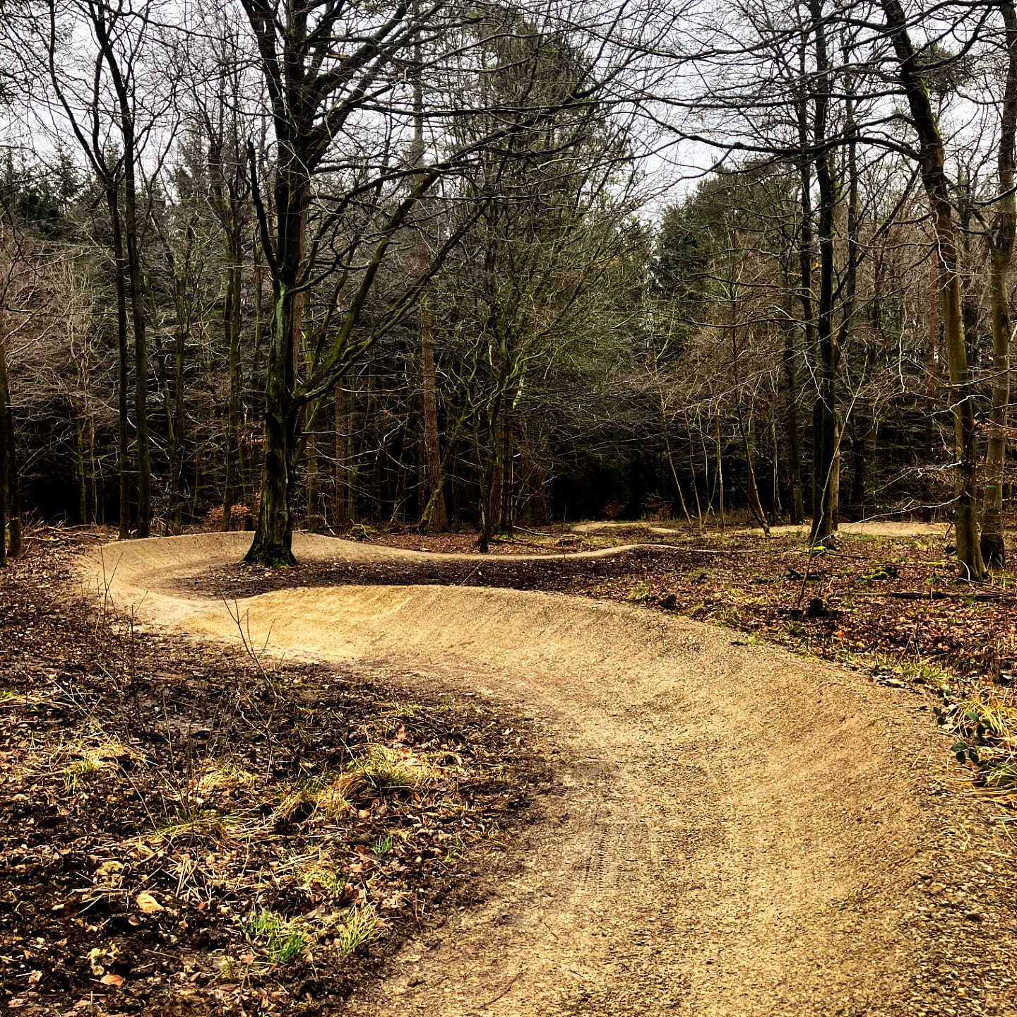 Dalby Renovates The Blue Trail