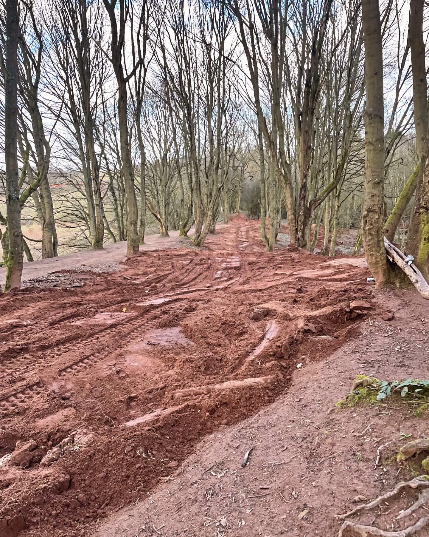 Dirt jumps at Hemlock removed