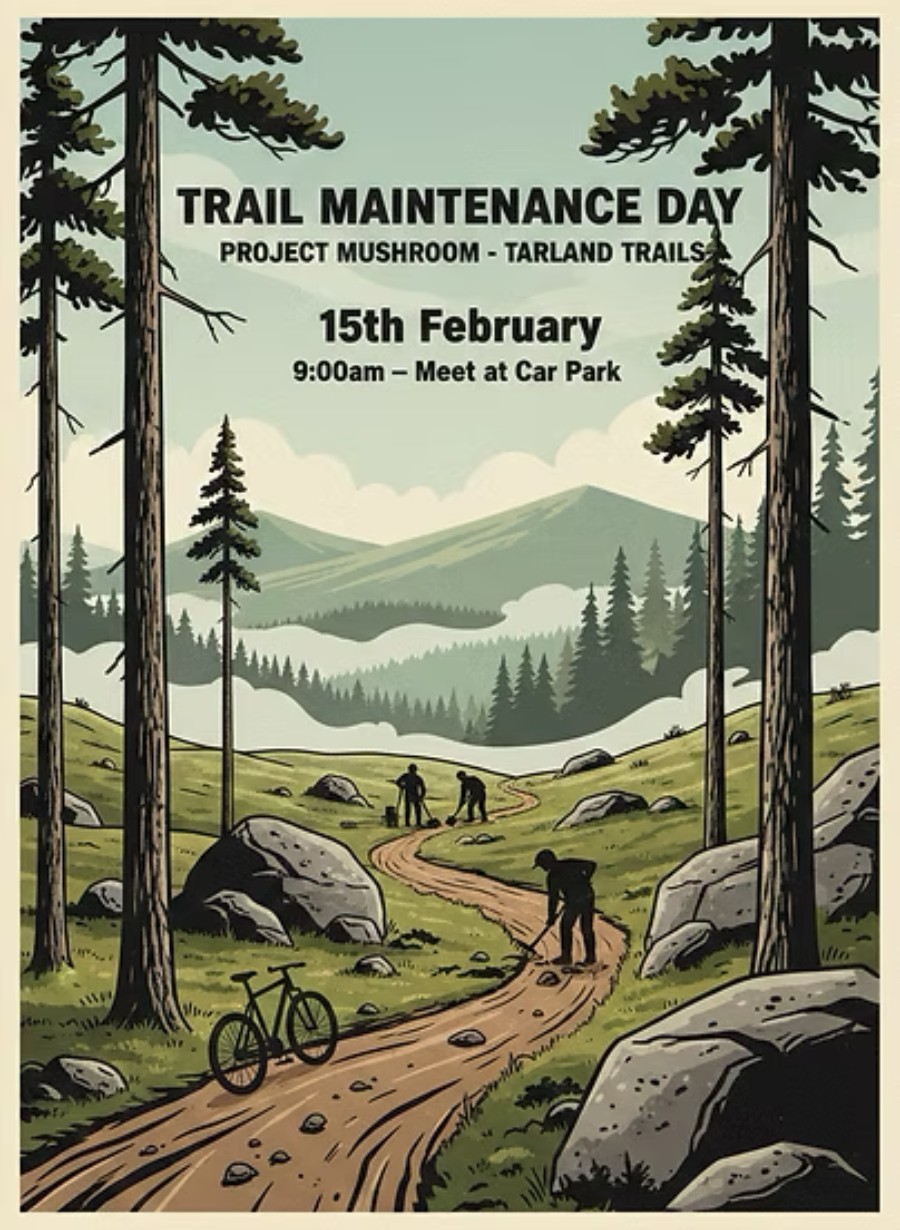 adc0af_018c82509a124b1da65a78f98f248fe1~mv2