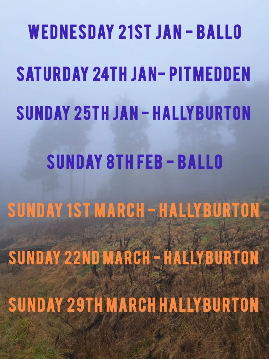 619185896_18089704811291202_7956264855238695358_n