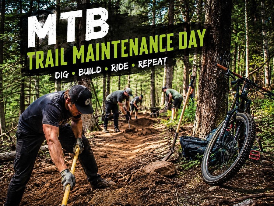 Brechfa trail maintenance day