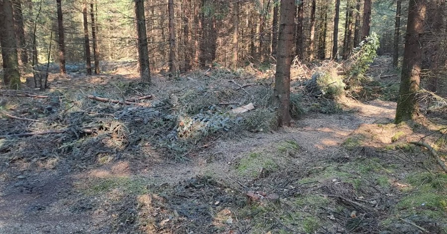 490574736_18501082675047345_6084328042870318790_n