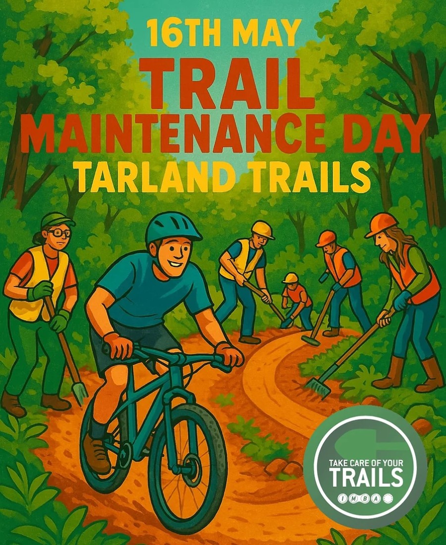 adc0af_fb3ba063befc42229b2f3a313bc37e93~mv2