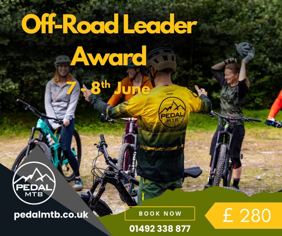 492981567_1239951064797972_4893839134246233032_n