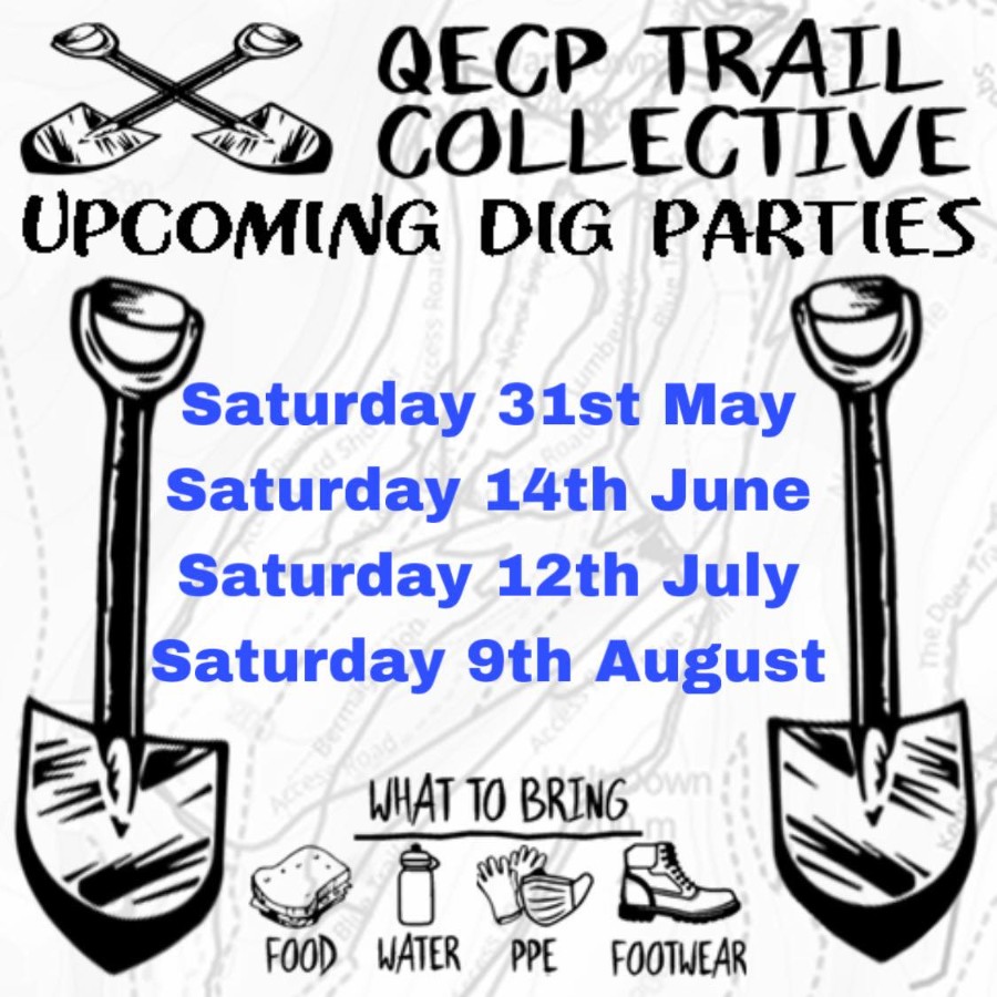 499732003_1186490713511979_5272847372650113979_n