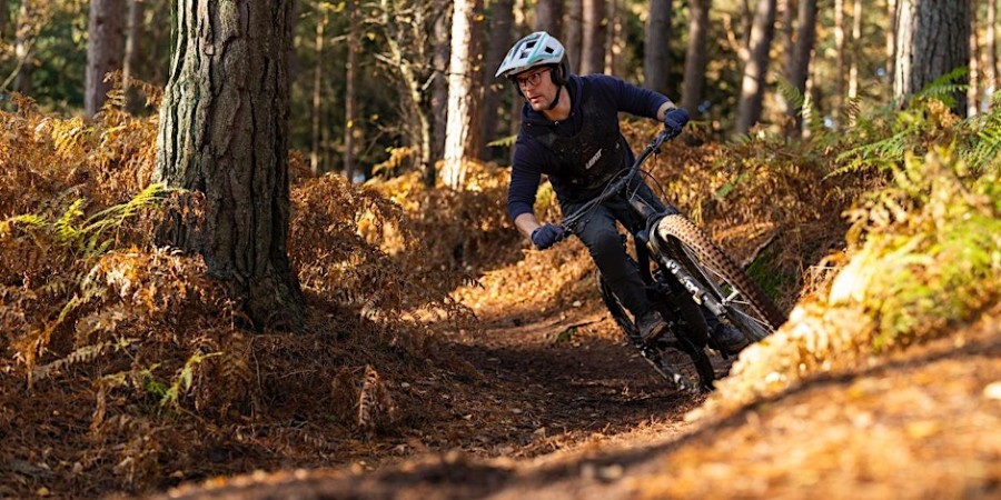 mages_1044659113_195414065732_1_original