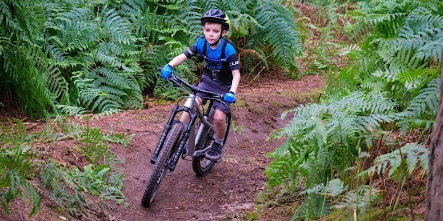 images_506577899_195414065732_1_original (1)