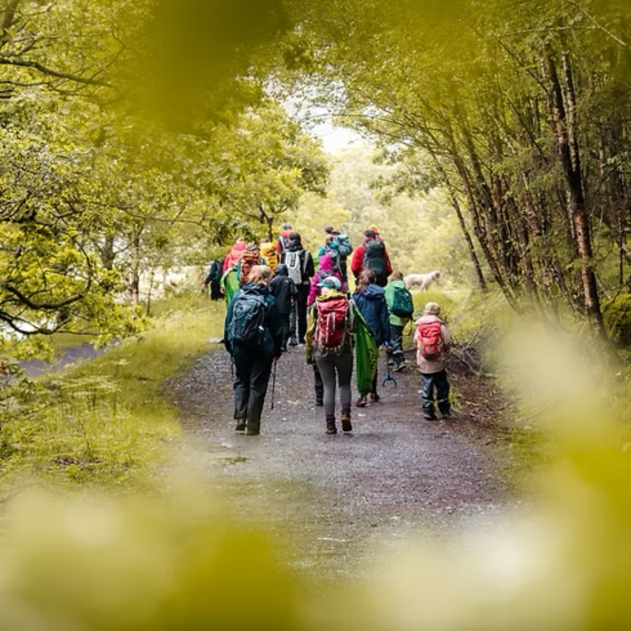 e60ede_38522af90ef949a1b93c7ab9c1e00588~mv2