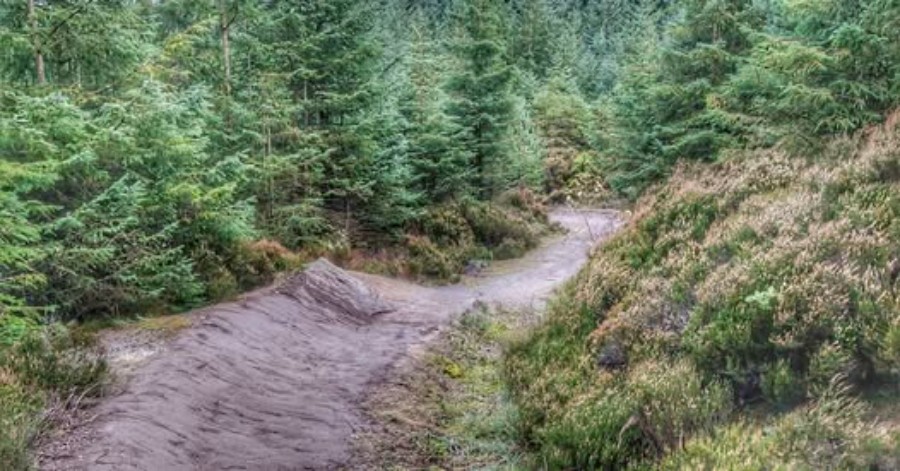 585895336_1278900320936001_1604082256963420986_n