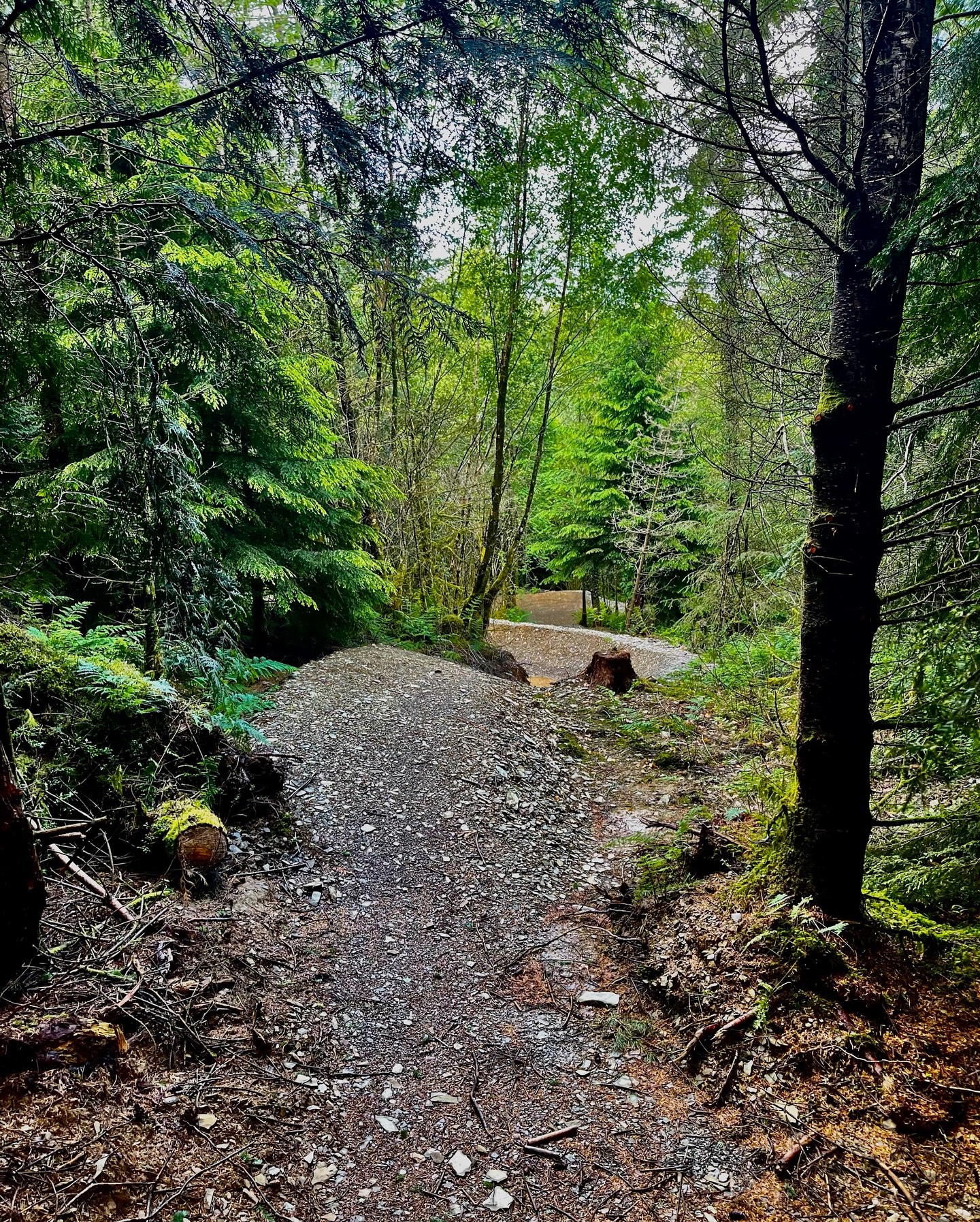 Fast and Flowing: Dyfi’s Third Degree Berms Red Trail Opens Soon