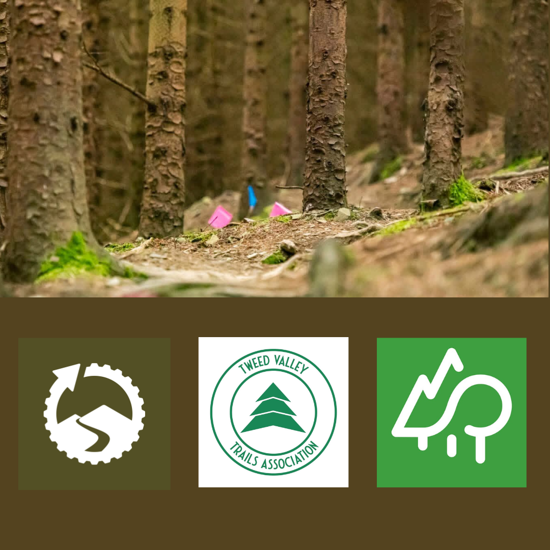 Forestry and Land Scotland starts review of unauthorised Mega Track build at Caberston (Golfie)