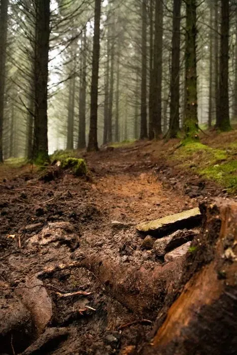 New Hand Cut Red Trail Underway at BikePark Wales 