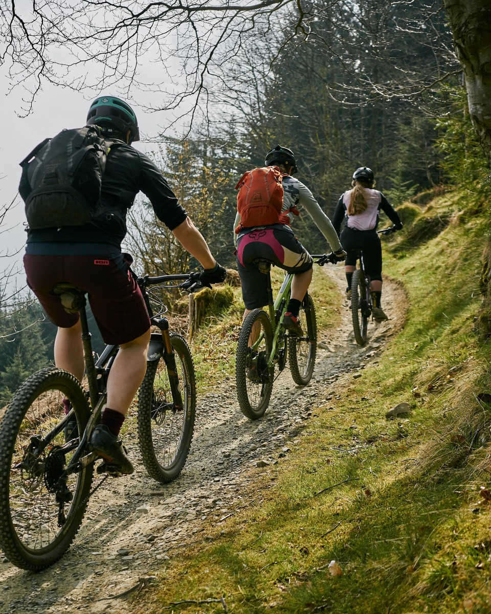 Glentress Skills Area on the Cards