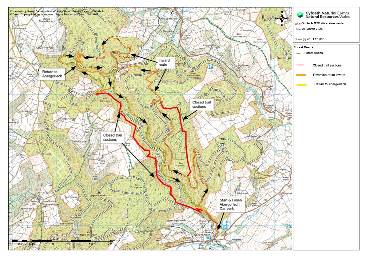 Gorlech Trail at Brechfa Reopens with Diversions