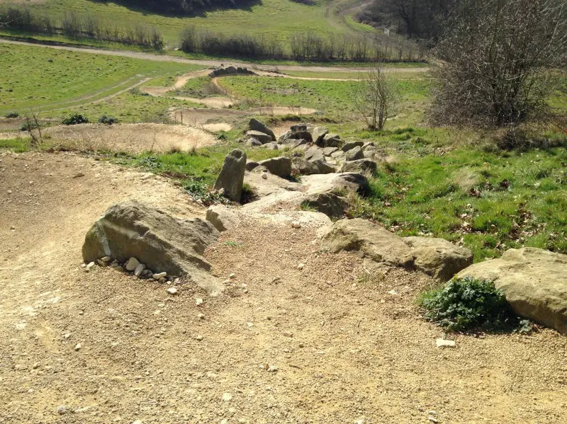 Hadleigh Park MTB: From Olympic Glory to Neglect