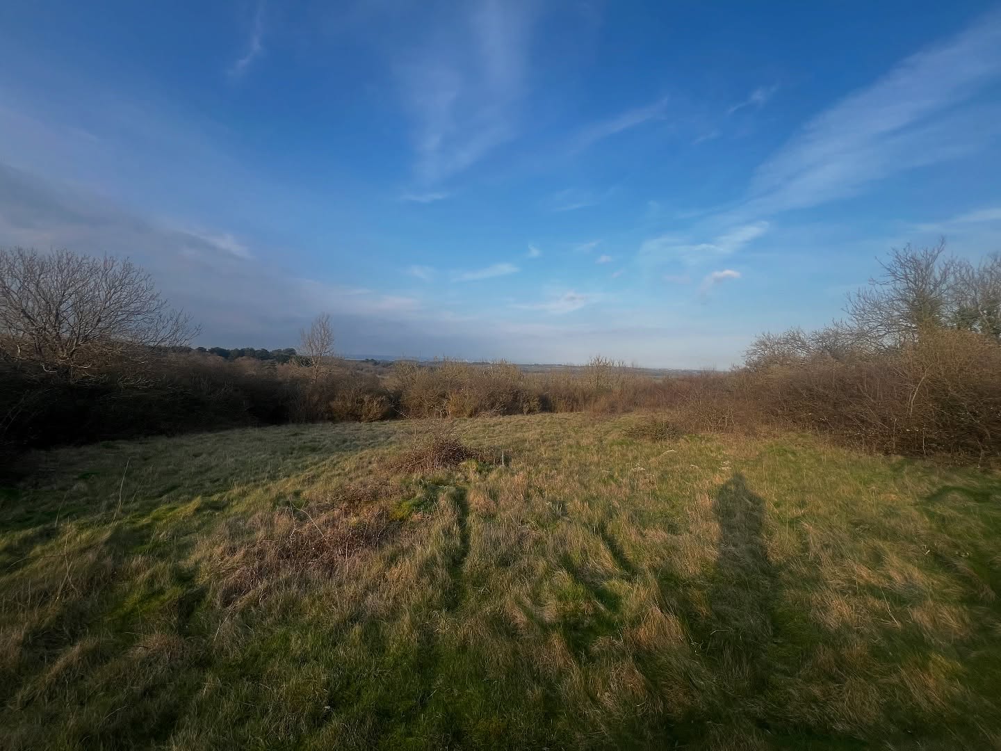 IOW MTB Centre Planning a New Start for 2026