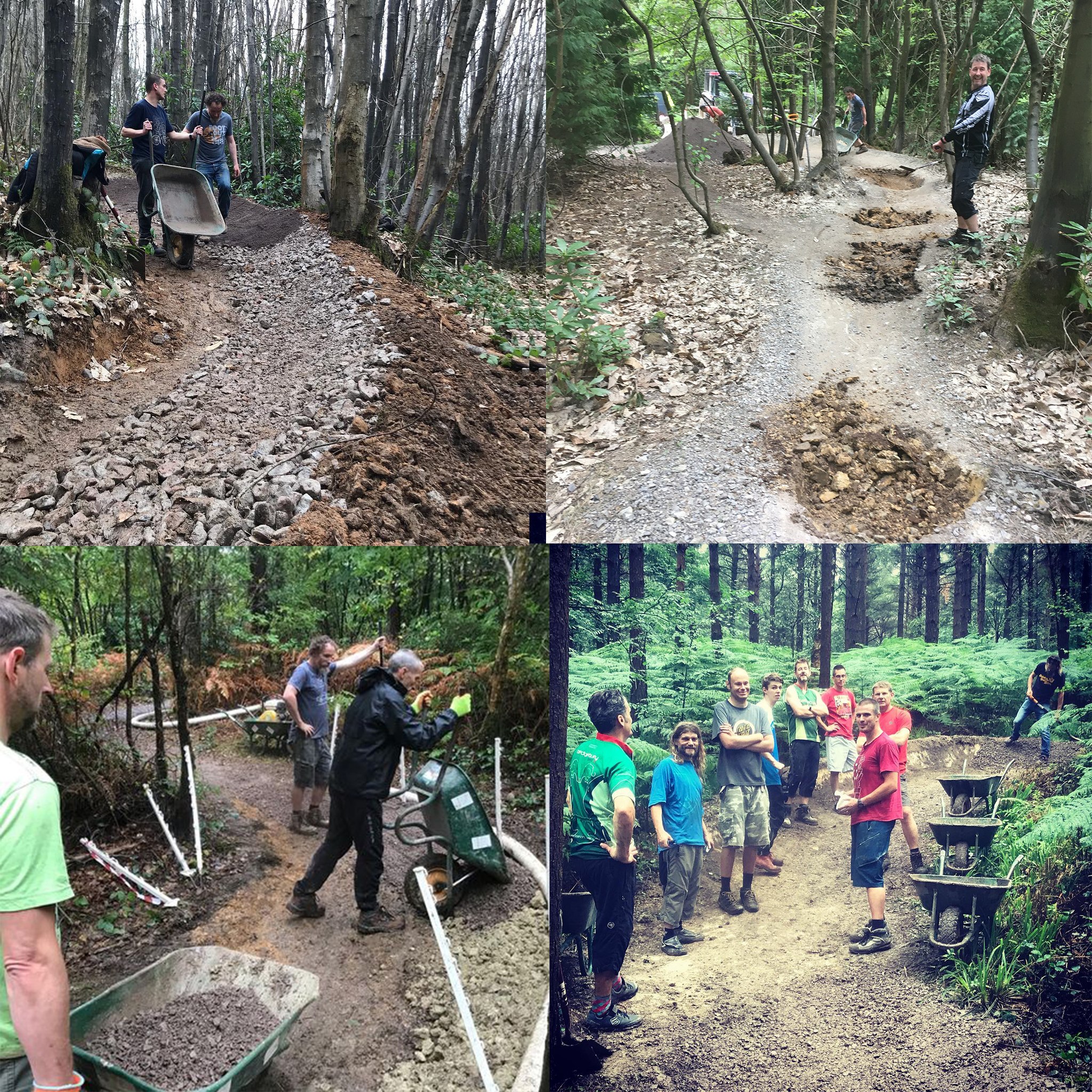 Is Bedgebury 2.0 on the Way? Trail Building Returns — Help Shape the Next Chapter