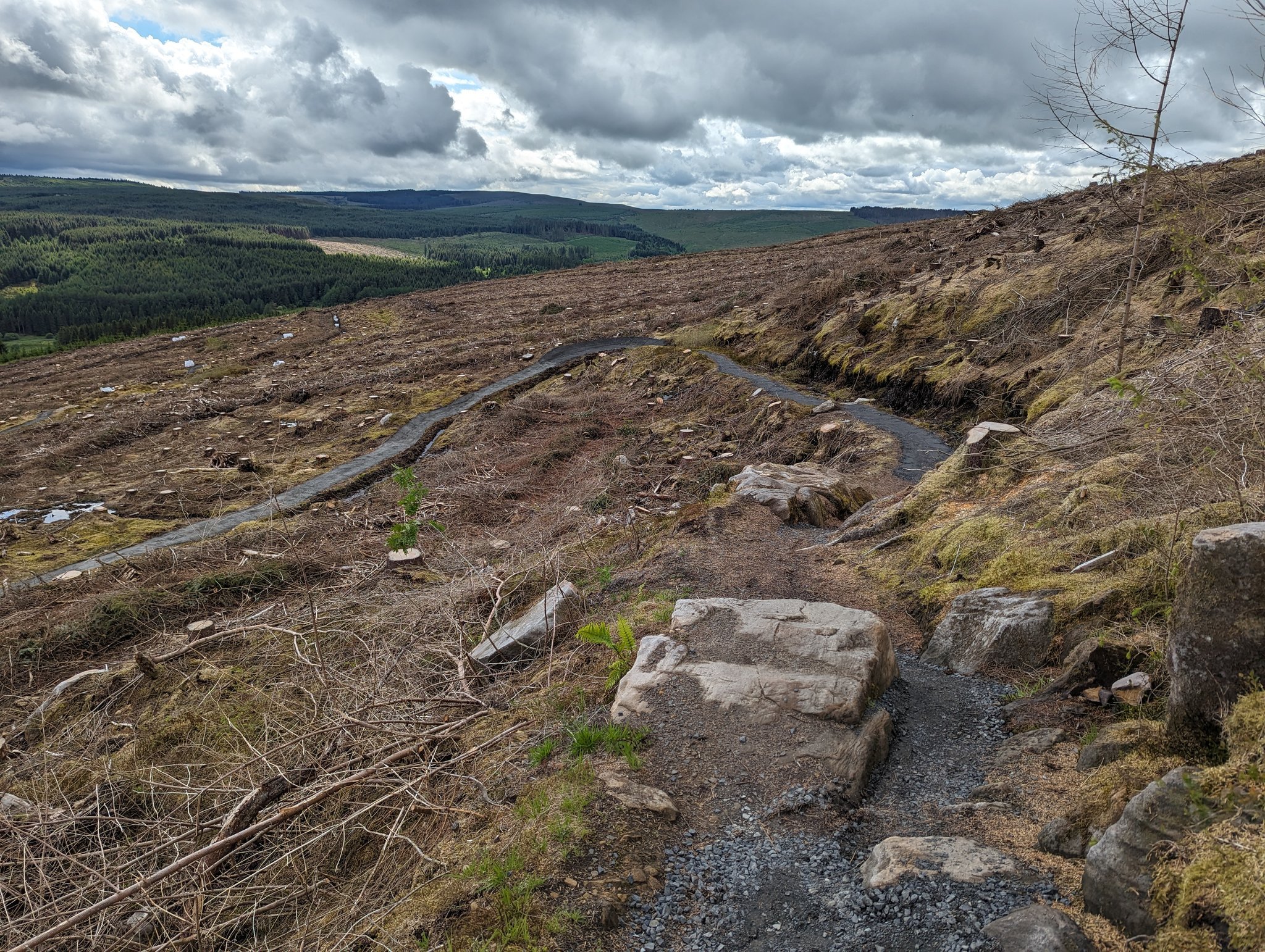 Kielder MTB Deadwater Trail Has Had An Upgrade