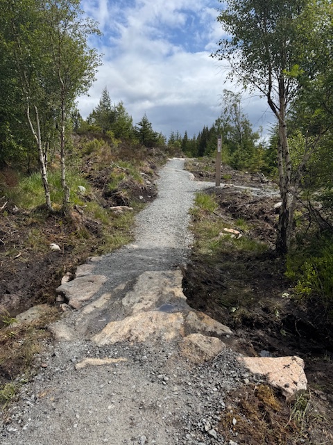 Laggan Wolftrax Green Trail Gets Major Revamp and Adaptive Bike Improvements