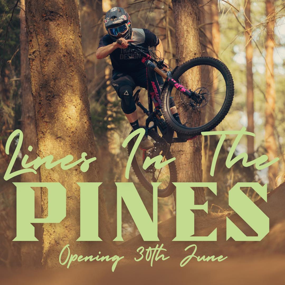 Lines in the Pines Opening 30th June at Chicksands