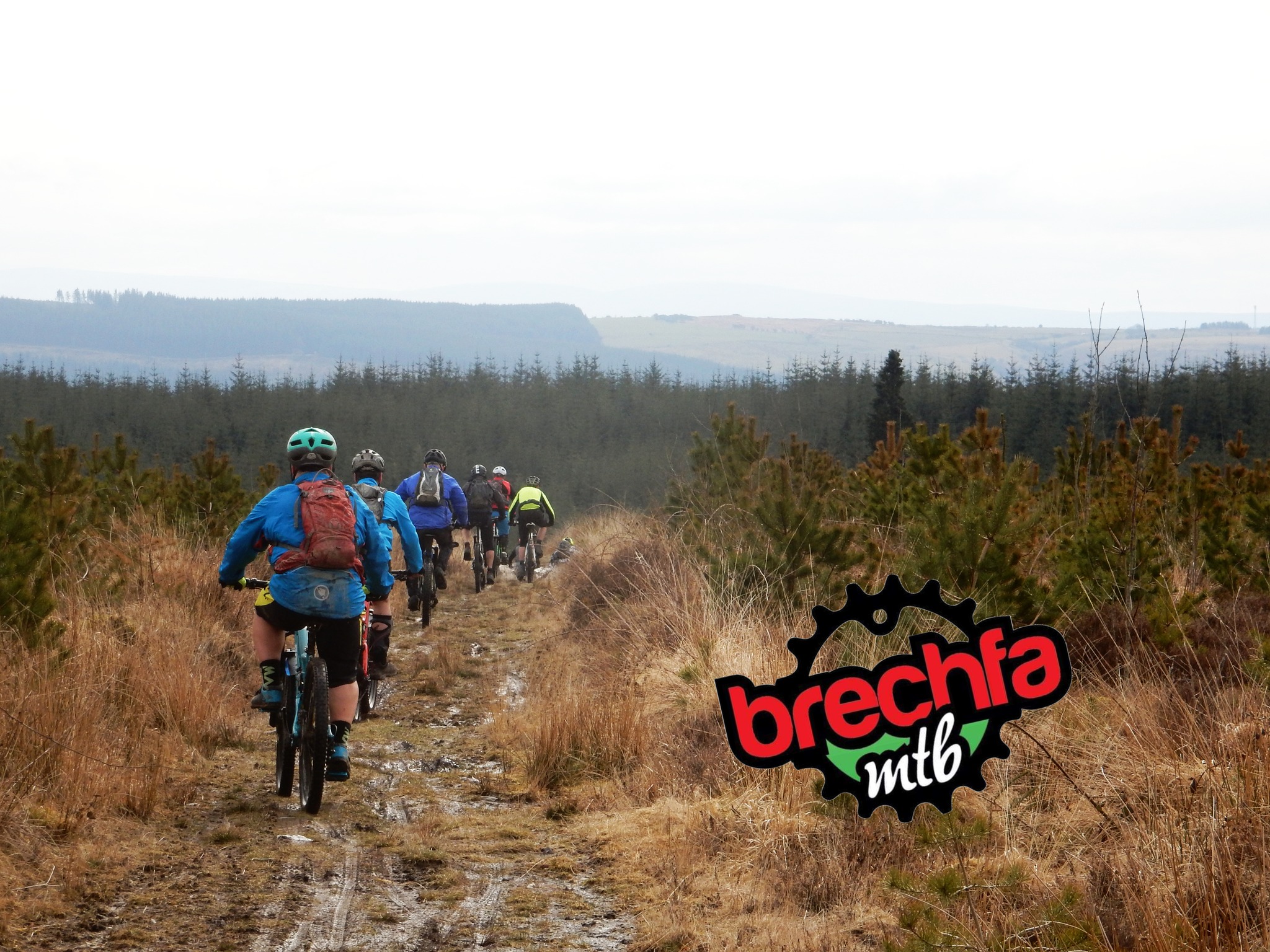 Lots happening Brechfa way