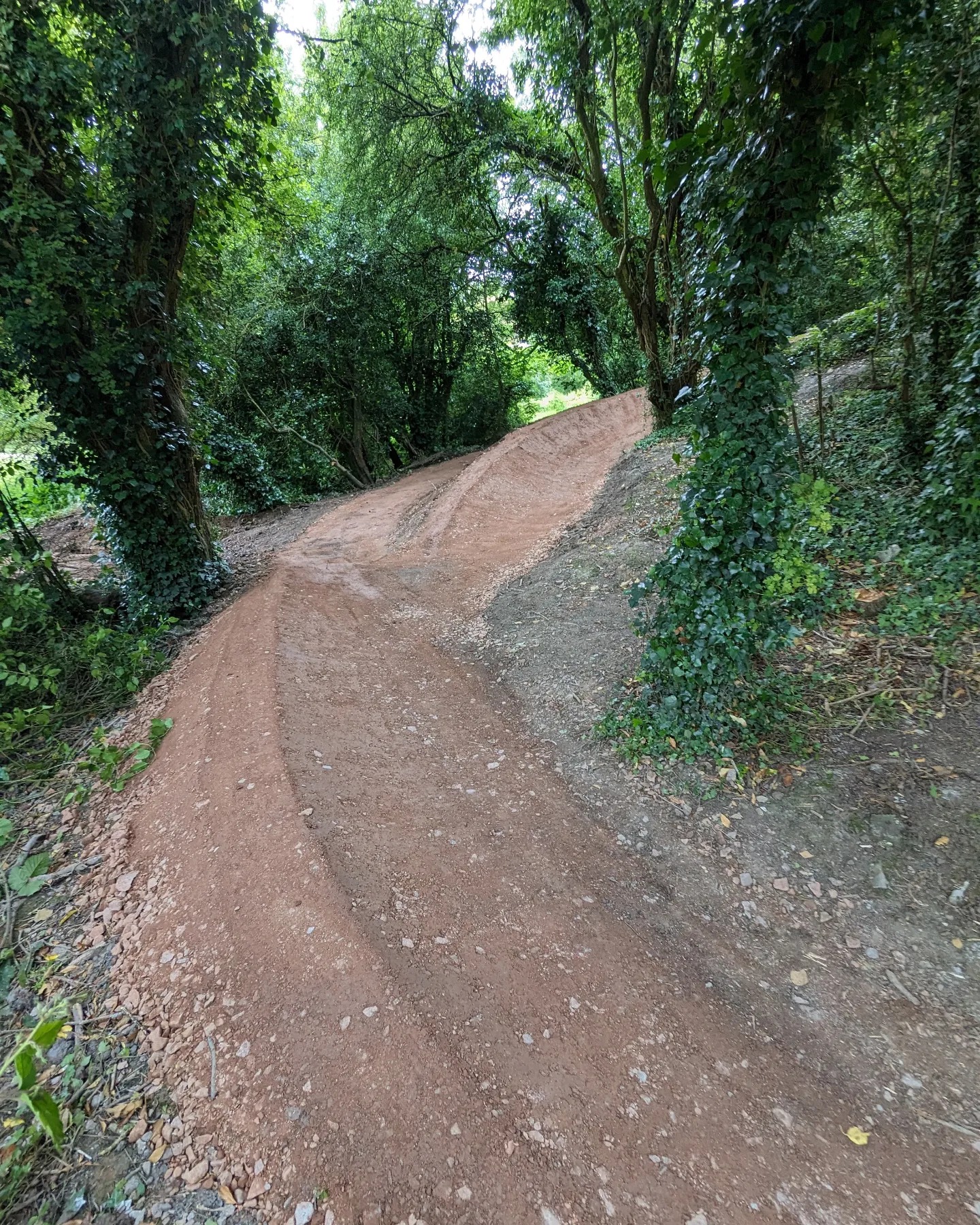 Miners MTB Trail Maintenance