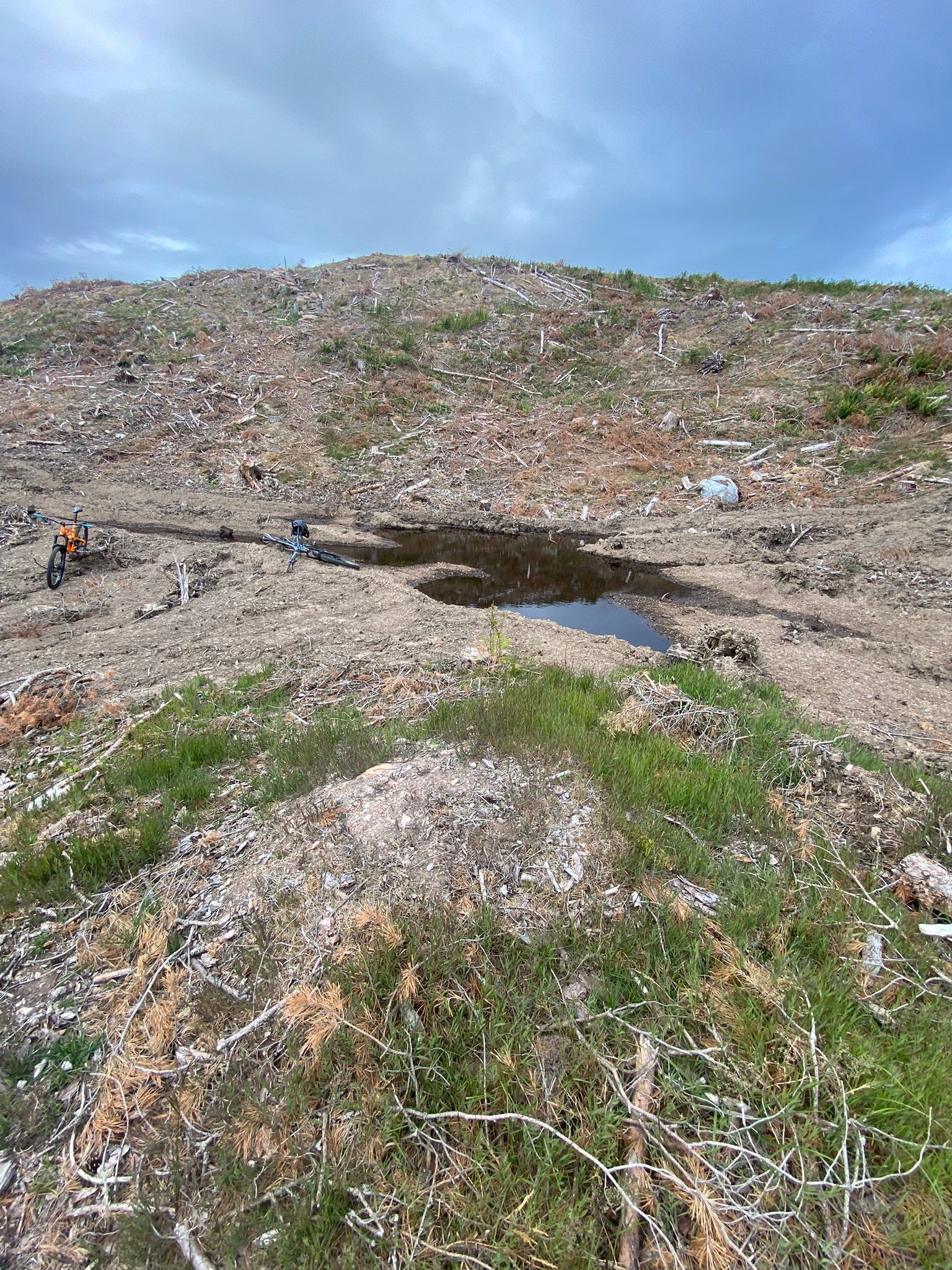 More Trail Losses at Learnie Red Rock as Volunteers Step Away