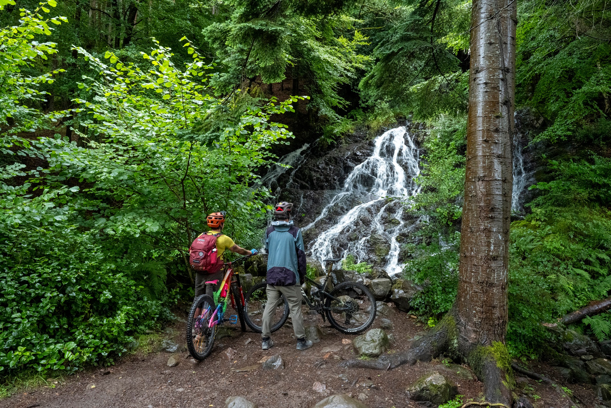 Mountain Bike Trail Therapy at Comrie Croft