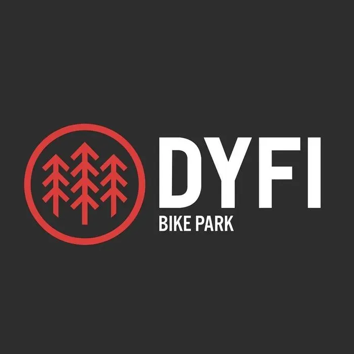 New Red at Dyfi Bike Park Turns in the Ferns