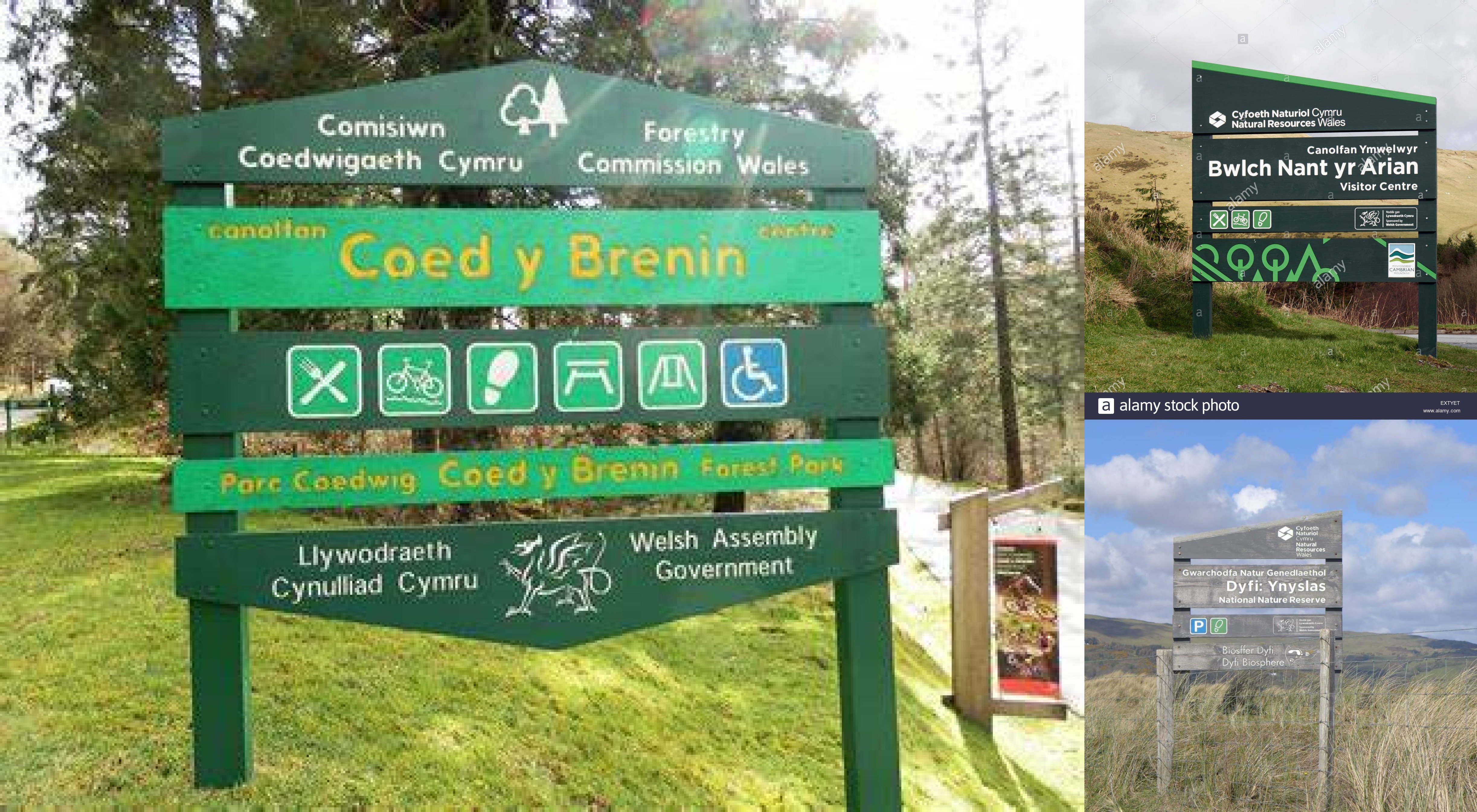 Natural Resources Wales visitor centres at Bwlch Nant yr Arian, Ynyslas and Coed y Brenin to close March 31st 2025