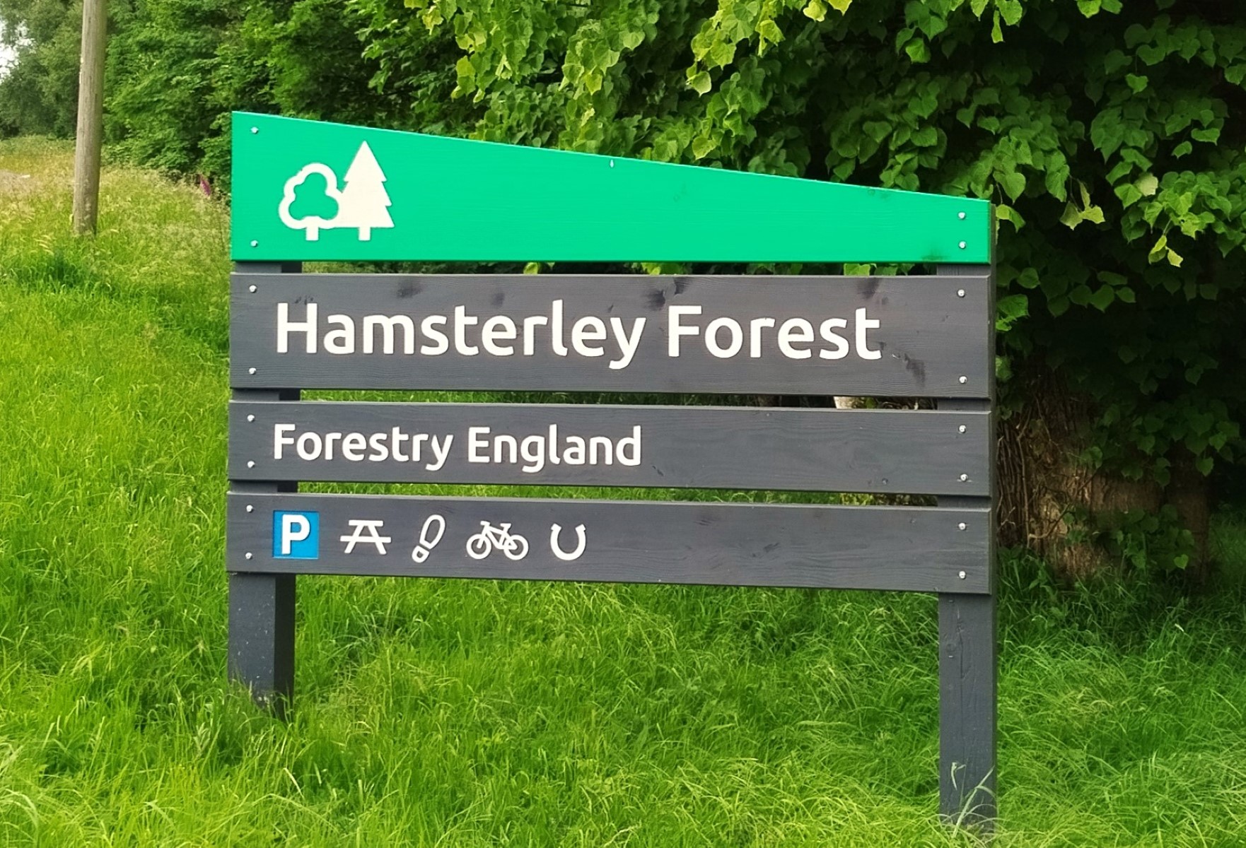 New Blue Trail ‘Squirrel Chaser’ Opens at Hamsterley Forest on 6 April