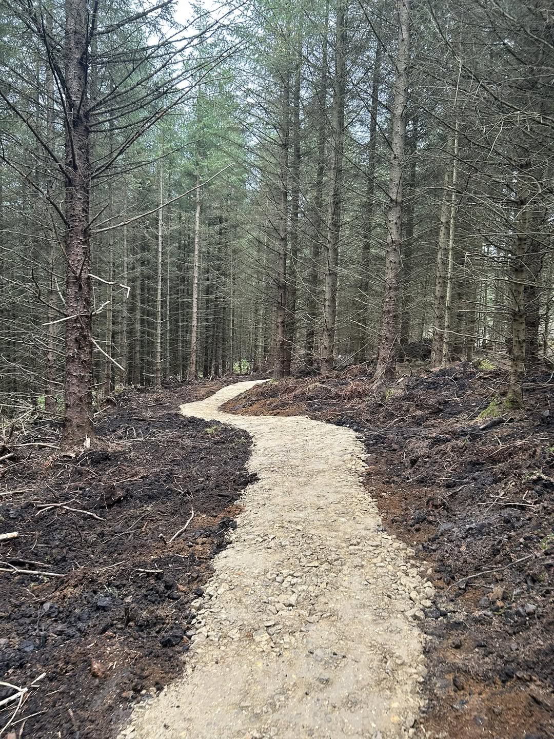 New Red Trail Build at Hamsterley Forest