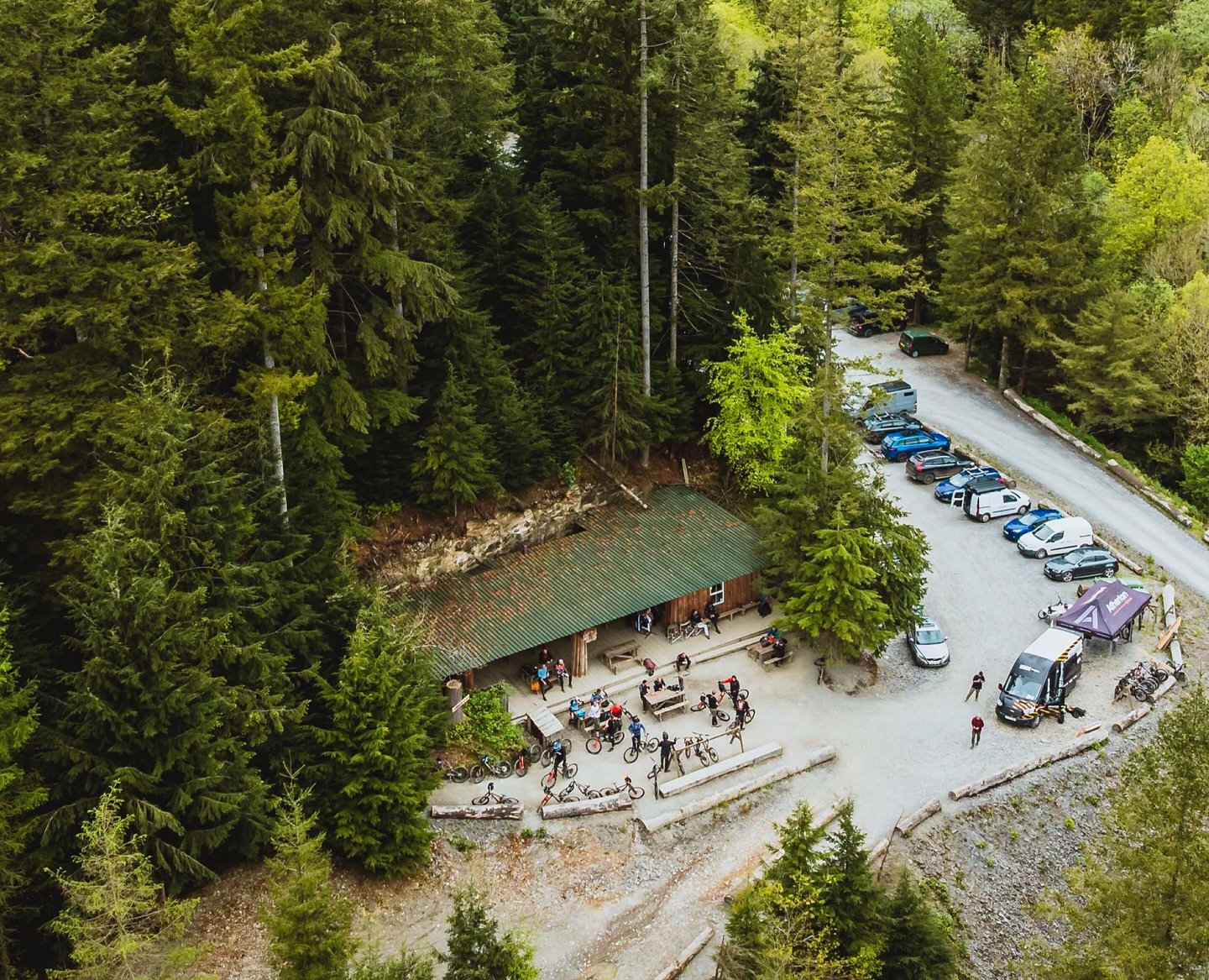 New Red Trail Incoming at Dyfi Bike Park – Help Name It