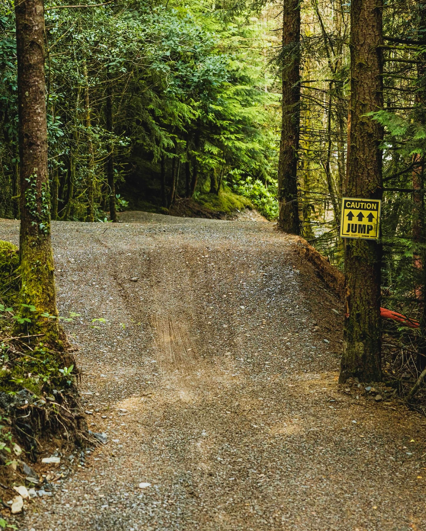 New Track Dirty Dishes At Dfyi Bike Park