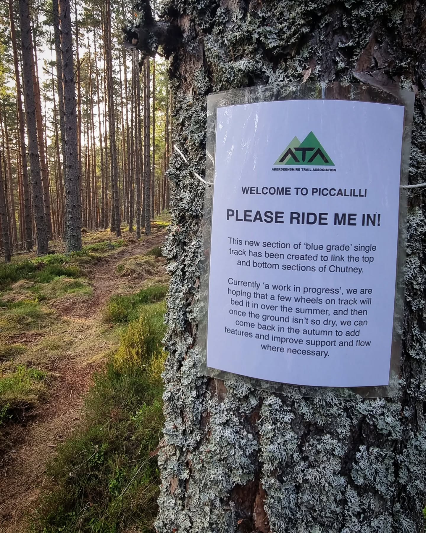 Trail Network Expands at Balfour Forest, Aberdeenshire with New Blue Piccalilli Line