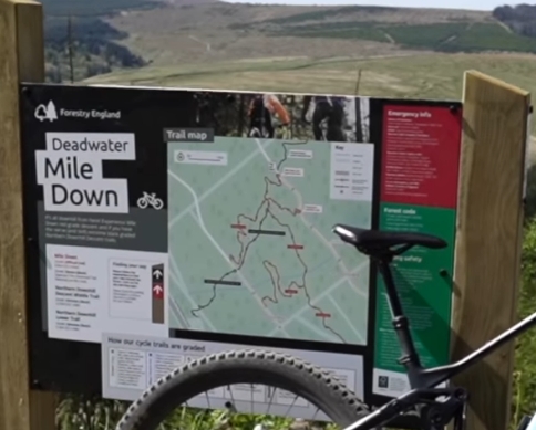 New Trail Opens at Kielder Forest: Mile Down