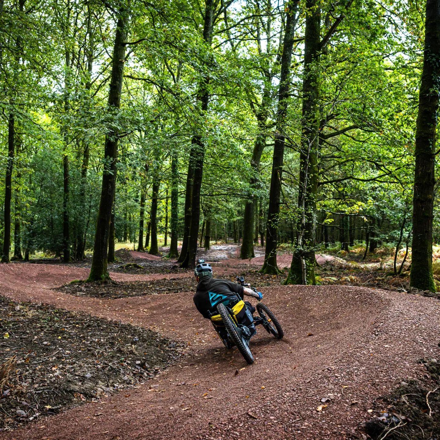 Old Bob's Trail opens at Forest of Dean